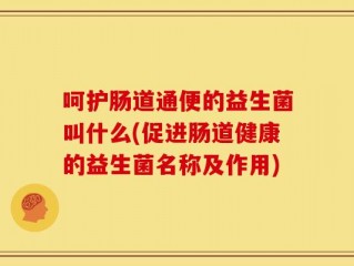 呵护肠道通便的益生菌叫什么(促进肠道健康的益生菌名称及作用)