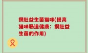 攒肚益生菌猫咪(提高猫咪肠道健康：攒肚益生菌的作用)