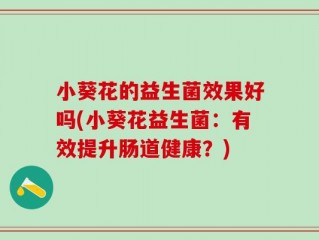 小葵花的益生菌效果好吗(小葵花益生菌：有效提升肠道健康？)