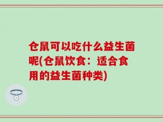 仓鼠可以吃什么益生菌呢(仓鼠饮食：适合食用的益生菌种类)