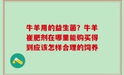 牛羊用的益生菌？牛羊崔肥剂在哪里能购买得到应该怎样合理的饲养