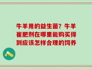 牛羊用的益生菌？牛羊崔肥剂在哪里能购买得到应该怎样合理的饲养