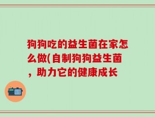 狗狗吃的益生菌在家怎么做(自制狗狗益生菌，助力它的健康成长