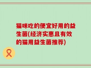 猫咪吃的便宜好用的益生菌(经济实惠且有效的猫用益生菌推荐)