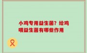小鸡专用益生菌？给鸡喂益生菌有哪些作用