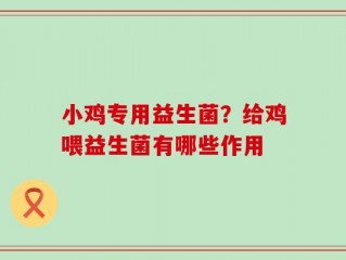 小鸡专用益生菌？给鸡喂益生菌有哪些作用