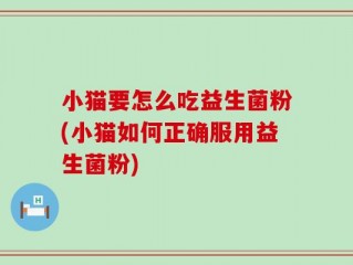 小猫要怎么吃益生菌粉(小猫如何正确服用益生菌粉)