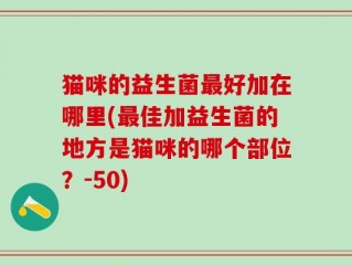 猫咪的益生菌最好加在哪里(最佳加益生菌的地方是猫咪的哪个部位？-50)