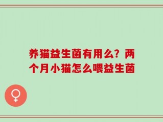 养猫益生菌有用么？两个月小猫怎么喂益生菌
