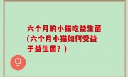 六个月的小猫吃益生菌(六个月小猫如何受益于益生菌？)