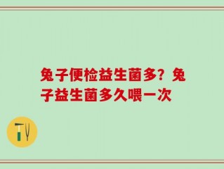 兔子便检益生菌多？兔子益生菌多久喂一次