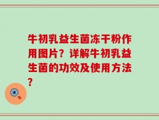 牛初乳益生菌冻干粉作用图片？详解牛初乳益生菌的功效及使用方法？
