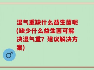 湿气重缺什么益生菌呢(缺少什么益生菌可解决湿气重？建议解决方案)