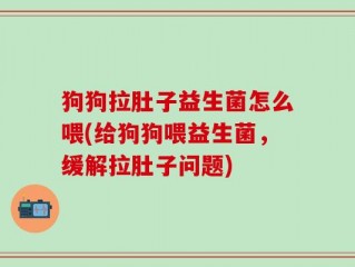 狗狗拉肚子益生菌怎么喂(给狗狗喂益生菌，缓解拉肚子问题)