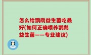 怎么给鹦鹉益生菌吃最好(如何正确喂养鹦鹉益生菌——专业建议)