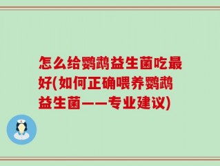 怎么给鹦鹉益生菌吃最好(如何正确喂养鹦鹉益生菌——专业建议)