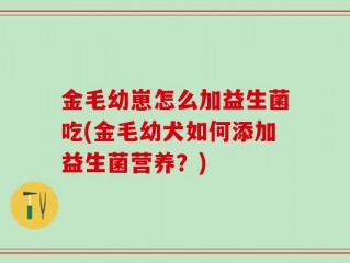 金毛幼崽怎么加益生菌吃(金毛幼犬如何添加益生菌营养？)