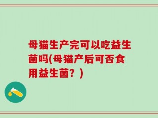 母猫生产完可以吃益生菌吗(母猫产后可否食用益生菌？)