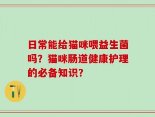 日常能给猫咪喂益生菌吗？猫咪肠道健康护理的必备知识？