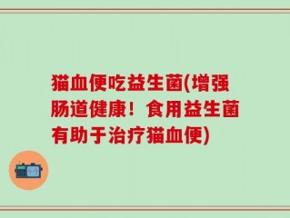猫血便吃益生菌(增强肠道健康！食用益生菌有助于治疗猫血便)
