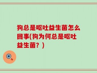 狗总是呕吐益生菌怎么回事(狗为何总是呕吐益生菌？)