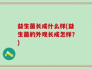 益生菌长成什么样(益生菌的外观长成怎样？)