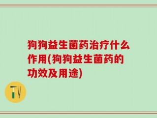 狗狗益生菌药治疗什么作用(狗狗益生菌药的功效及用途)