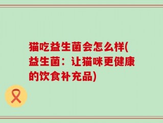 猫吃益生菌会怎么样(益生菌：让猫咪更健康的饮食补充品)