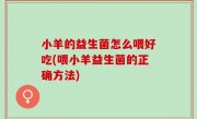 小羊的益生菌怎么喂好吃(喂小羊益生菌的正确方法)