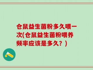 仓鼠益生菌粉多久喂一次(仓鼠益生菌粉喂养频率应该是多久？)