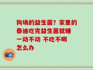 狗场的益生菌？家里的泰迪吃完益生菌就睡 一动不动 不吃不喝 怎么办