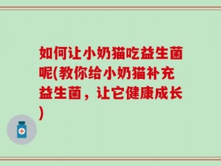 如何让小奶猫吃益生菌呢(教你给小奶猫补充益生菌，让它健康成长)