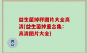 益生菌掉秤图片大全高清(益生菌掉重合集：高清图片大全)
