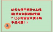 幼犬大便干喂什么益生菌(幼犬如何喂益生菌？让小狗宝宝大便干燥不是问题！)