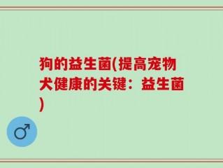 狗的益生菌(提高宠物犬健康的关键：益生菌)