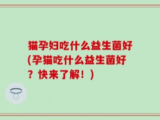 猫孕妇吃什么益生菌好(孕猫吃什么益生菌好？快来了解！)