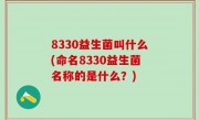 8330益生菌叫什么(命名8330益生菌名称的是什么？)