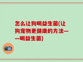 怎么让狗喝益生菌(让狗宠物更健康的方法——喝益生菌)