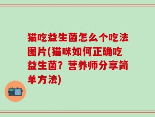 猫吃益生菌怎么个吃法图片(猫咪如何正确吃益生菌？营养师分享简单方法)