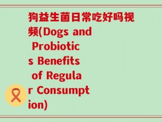 狗益生菌日常吃好吗视频(Dogs and Probiotics Benefits of Regular Consumption)