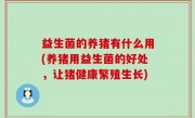 益生菌的养猪有什么用(养猪用益生菌的好处，让猪健康繁殖生长)