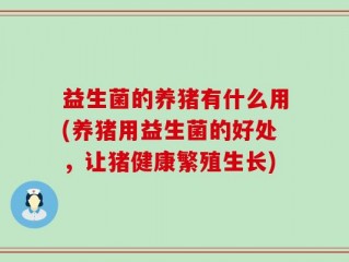 益生菌的养猪有什么用(养猪用益生菌的好处，让猪健康繁殖生长)