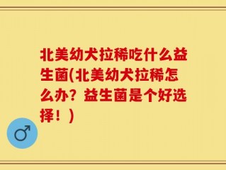 北美幼犬拉稀吃什么益生菌(北美幼犬拉稀怎么办？益生菌是个好选择！)