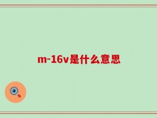 m-16v是什么意思