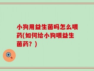 小狗用益生菌吗怎么喂药(如何给小狗喂益生菌药？)