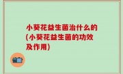 小葵花益生菌治什么的(小葵花益生菌的功效及作用)