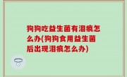 狗狗吃益生菌有泪痕怎么办(狗狗食用益生菌后出现泪痕怎么办)