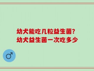 幼犬能吃几粒益生菌？幼犬益生菌一次吃多少