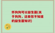 怀狗狗可以益生菌(关于狗狗，这些你不知道的益生菌知识)