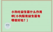 小狗吃益生菌什么作用啊(小狗服用益生菌有哪些好处？)